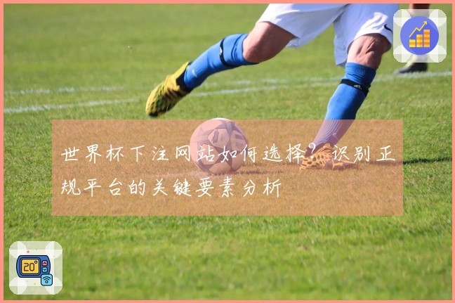 世界杯下注网站如何选择？识别正规平台的关键要素分析