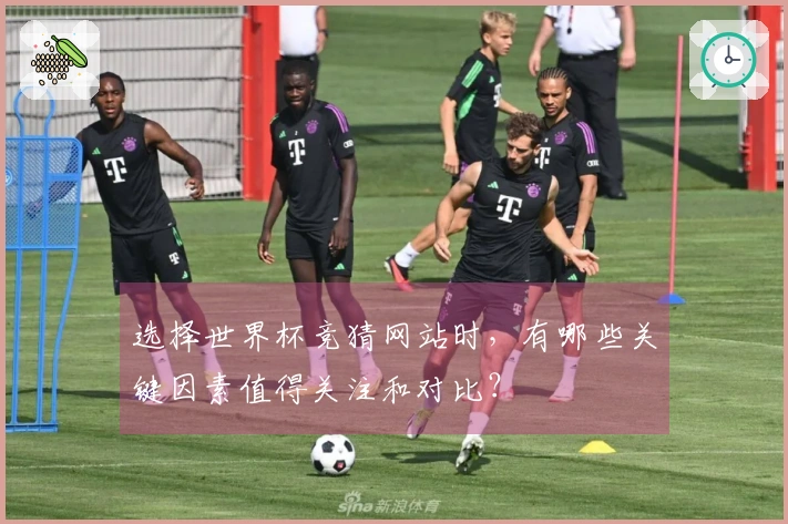 选择世界杯竞猜网站时,有哪些关键因素值得关注和对比?