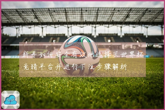 新手如何安全有效地选择买世界杯竞猜平台并进行下注步骤解析