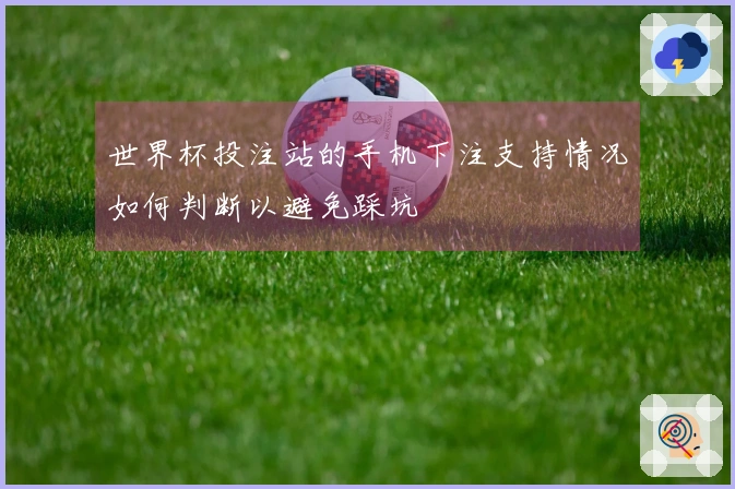 世界杯投注站的手机下注支持情况如何判断以避免踩坑