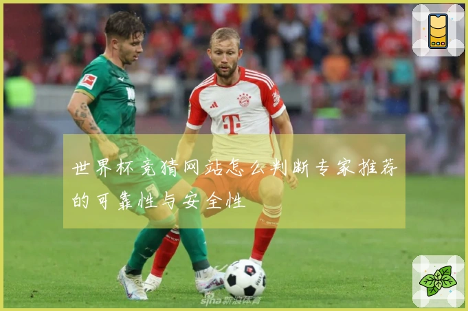 世界杯竞猜网站怎么判断专家推荐的可靠性与安全性
