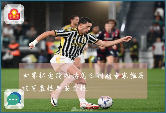 世界杯竞猜网站怎么判断专家推荐的可靠性与安全性