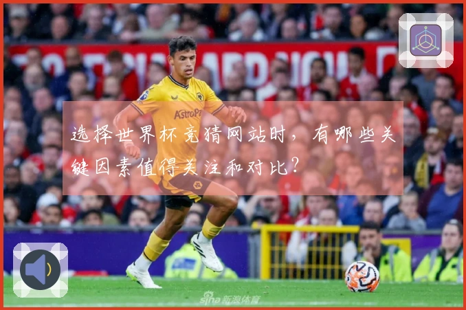 选择世界杯竞猜网站时，有哪些关键因素值得关注和对比？