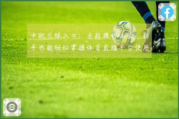中欧买球入口：全新操作体验，新手也能轻松掌握体育直播平台使用指南
